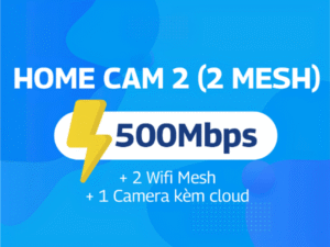 HOME CAM 2 (2 Mesh)