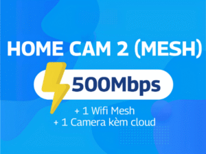 HOME CAM 2 (Mesh)